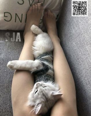 芳心的放纵_蓝光天堂在线