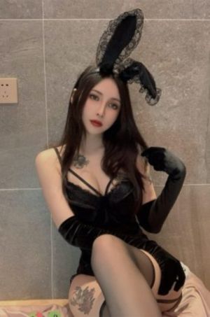 1号通缉令_4K全集免费播放