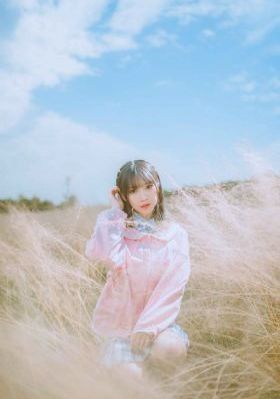 连续剧九重紫在线观看_DVD全集免费播放